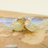 14ct Yellow Gold Solid Opal Earrings