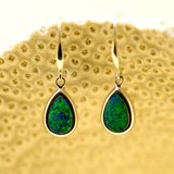 14ct White Gold Doublet Opal Hook Earrings