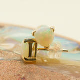 9ct Yellow Gold Solid Opal Earrings