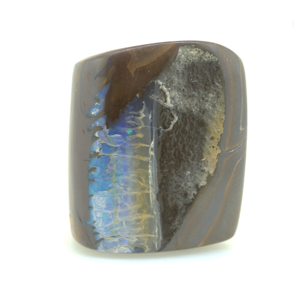 Polished Queensland Boulder Specimen