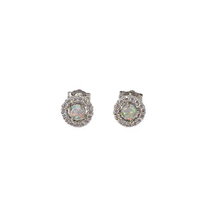 14ct White Gold Crystal Opal Halo Earrings - Fremantle Opals
